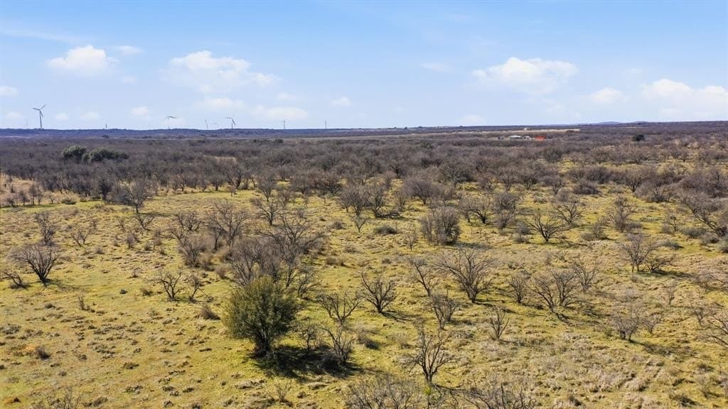 40 acres in Shackelford County - photo 7