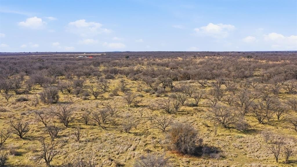 40 acres in Shackelford County - photo 8
