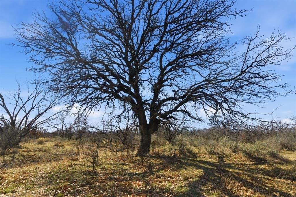 40 acres in Shackelford County - photo 13