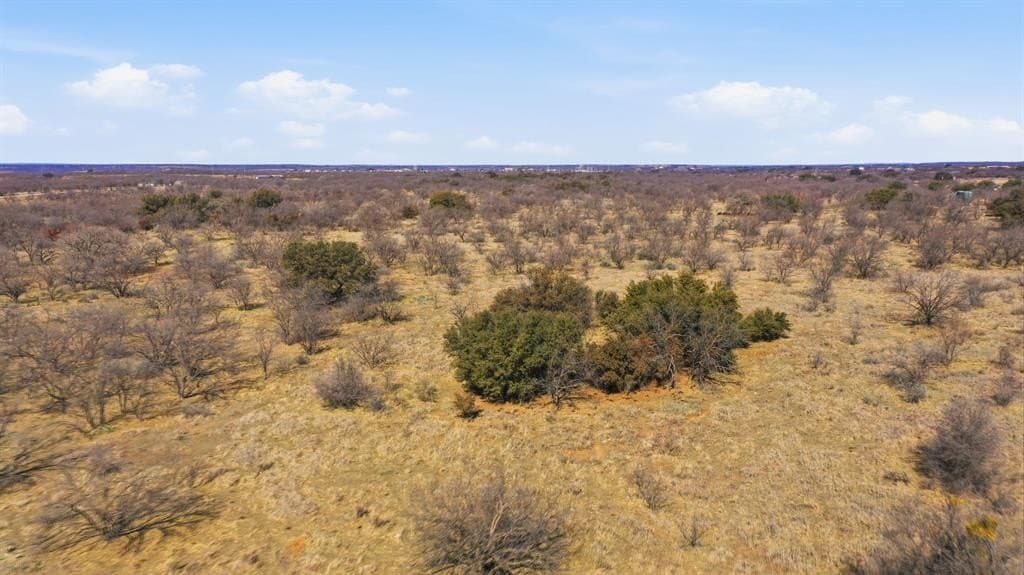 40 acres in Shackelford County - photo 6