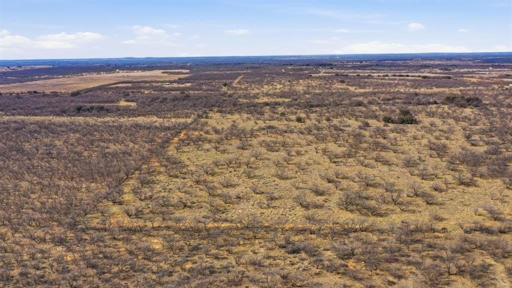 40 acres in Shackelford County - photo 2