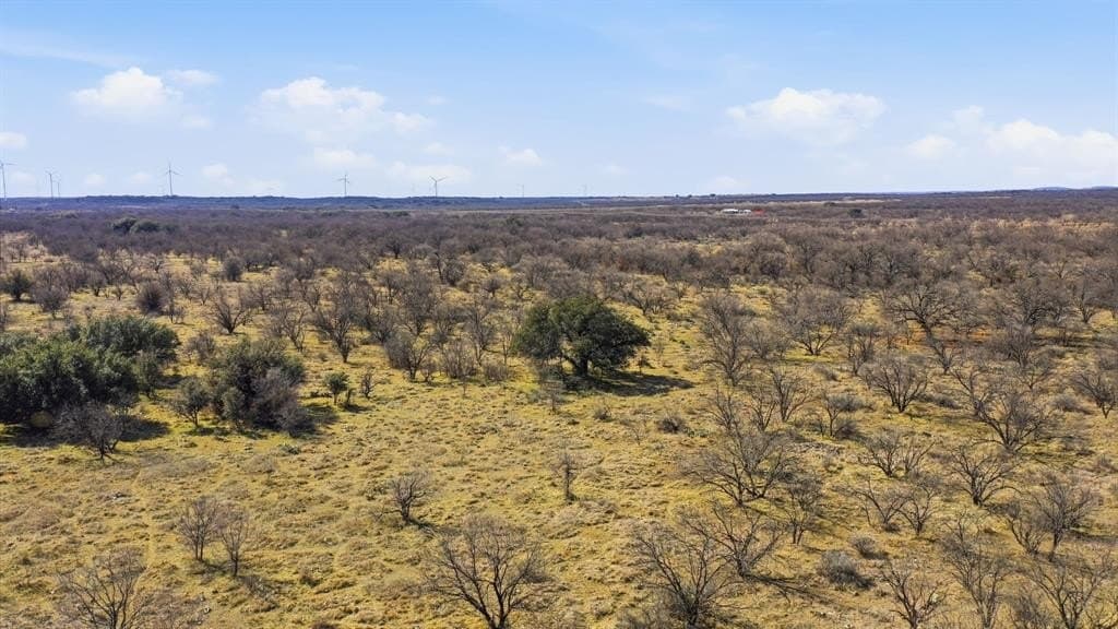 40 acres in Shackelford County - photo 11