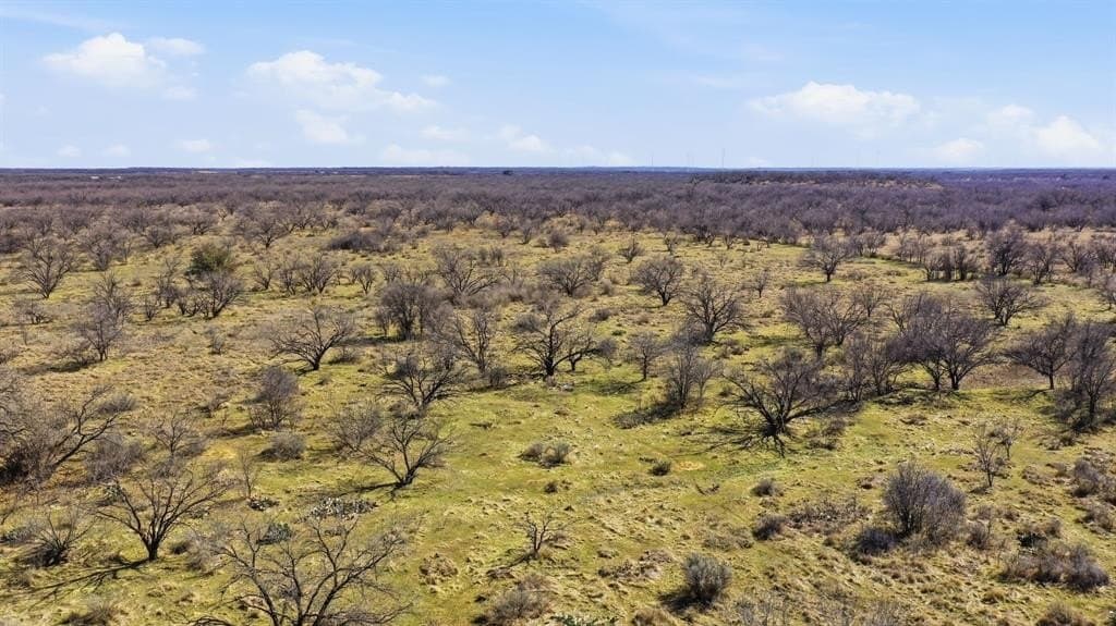 40 acres in Shackelford County - photo 4
