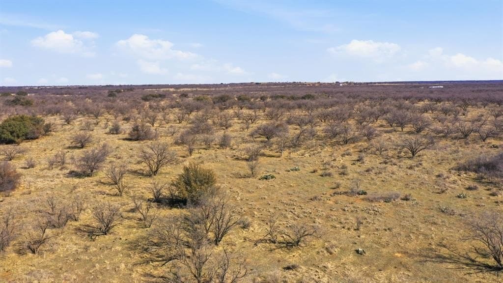40 acres in Shackelford County - photo 5