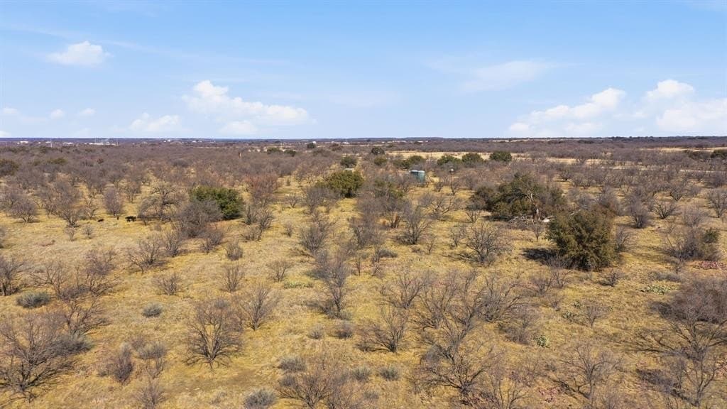40 acres in Shackelford County - photo 9