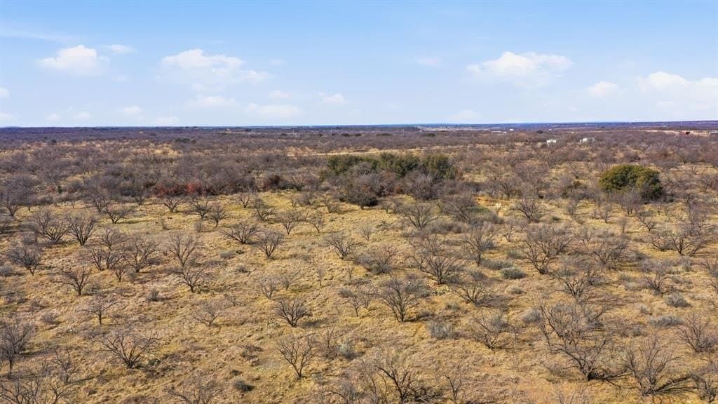 40 acres in Shackelford County - photo 10
