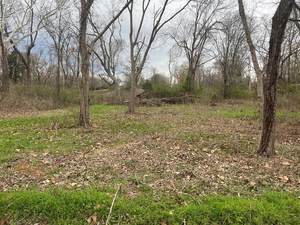 0.14 acres in ANDERSON County - photo 3