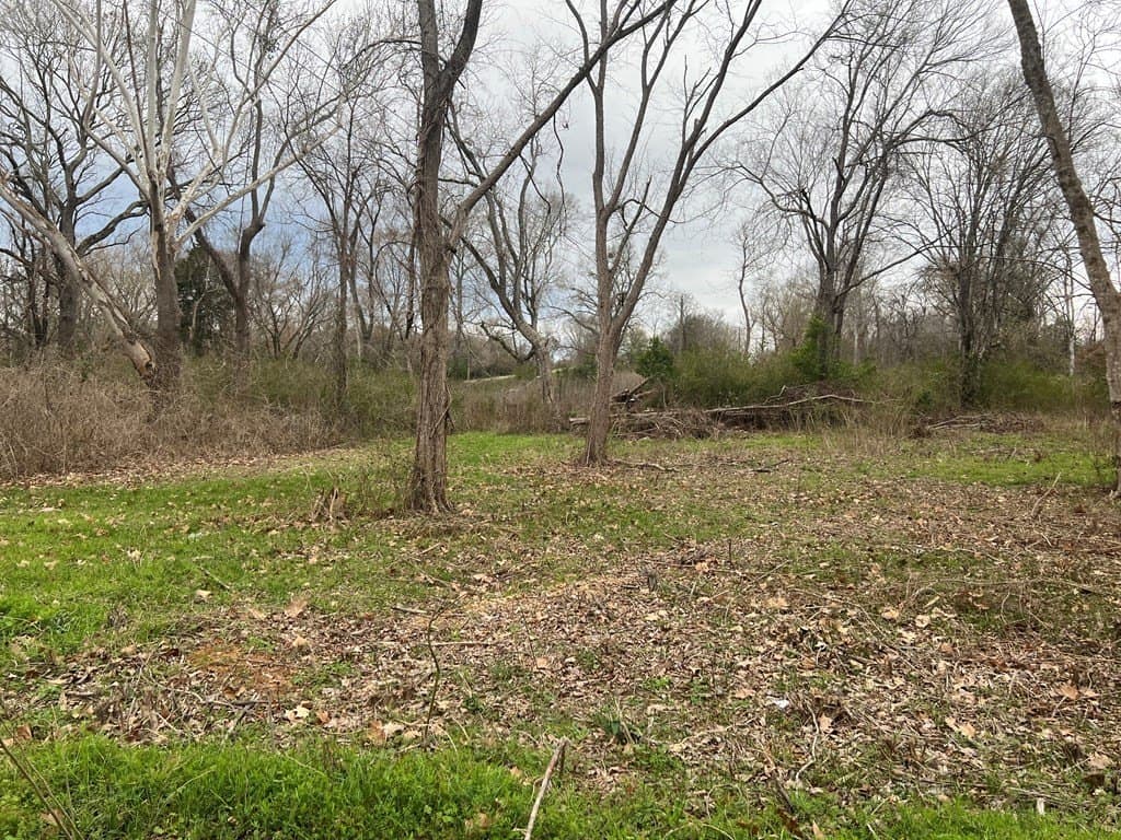 0.14 acres in ANDERSON County - photo 2