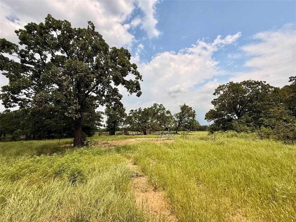 47.43 acres in Montague County - photo 19