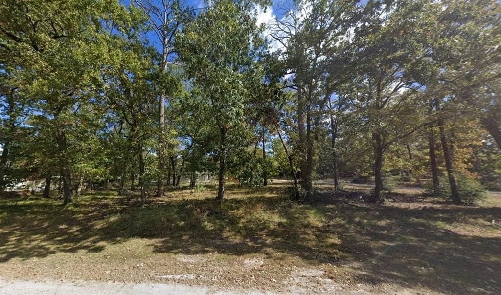 0.51 acres in San Jacinto County - photo 2