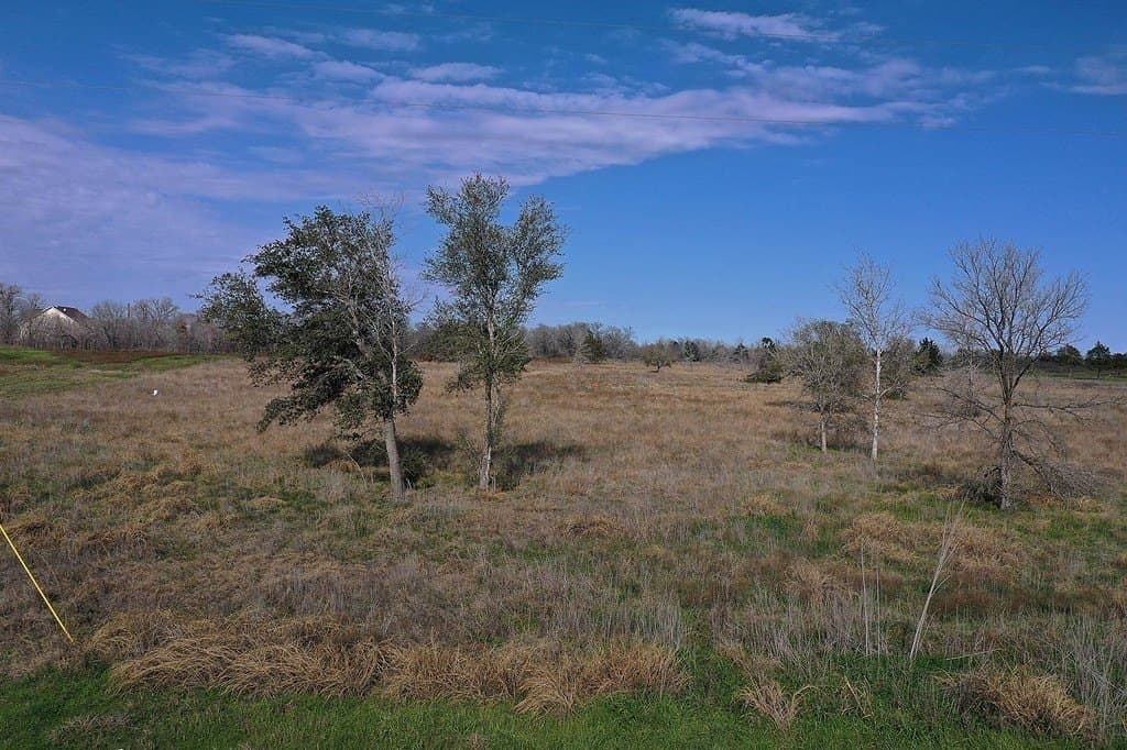 TR 4 0000 County Road 451