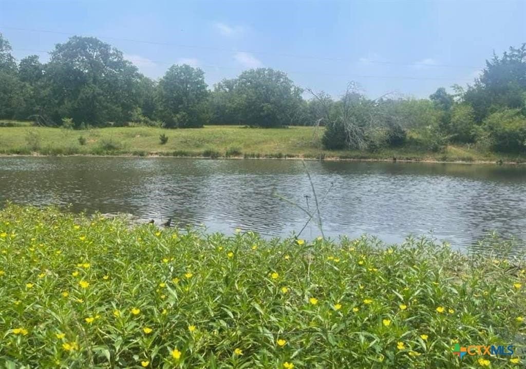 13 acres in Milam County - photo 6