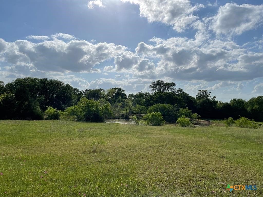 13 acres in Milam County - photo 12