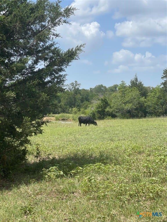 13 acres in Milam County - photo 5
