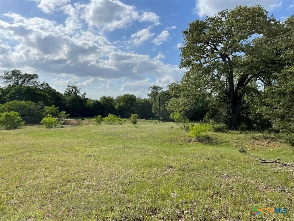 13 acres in Milam County - photo 2