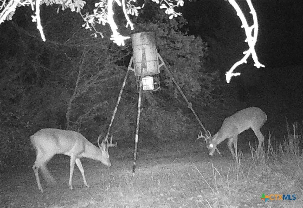 13 acres in Milam County - photo 10
