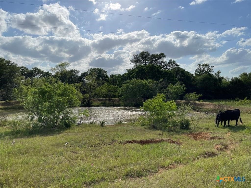 13 acres in Milam County - photo 3