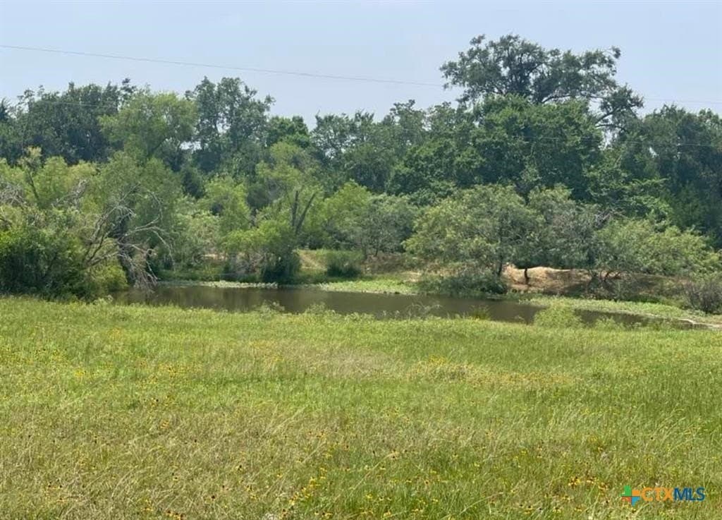13 acres in Milam County - photo 8