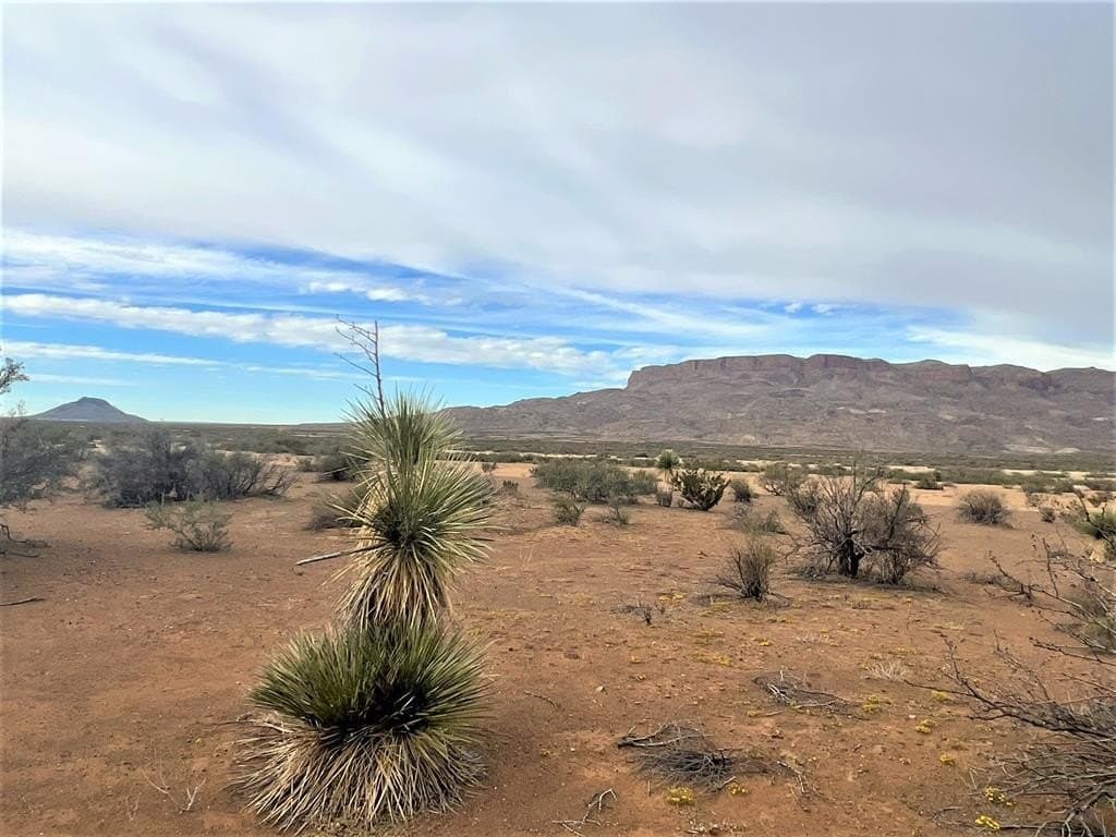 110 acres in Brewster County - photo 2