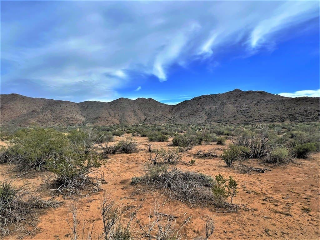 110 acres in Brewster County - photo 5