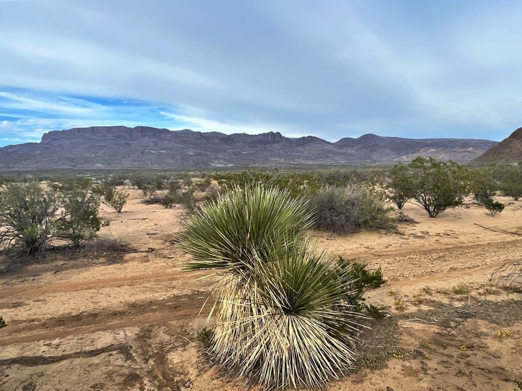 110 acres in Brewster County - photo 3