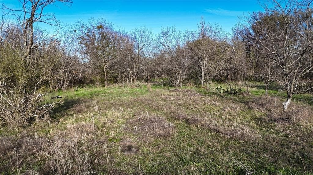 13.7 acres in Erath County - photo 2