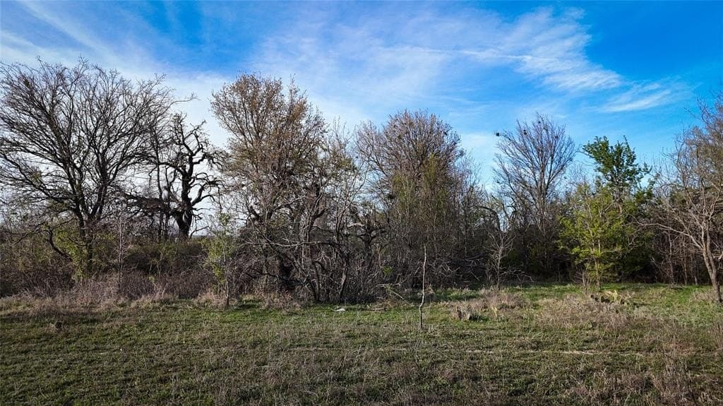 13.7 acres in Erath County - photo 3
