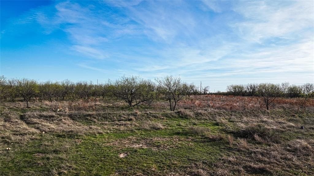 13.7 acres in Erath County - photo 8