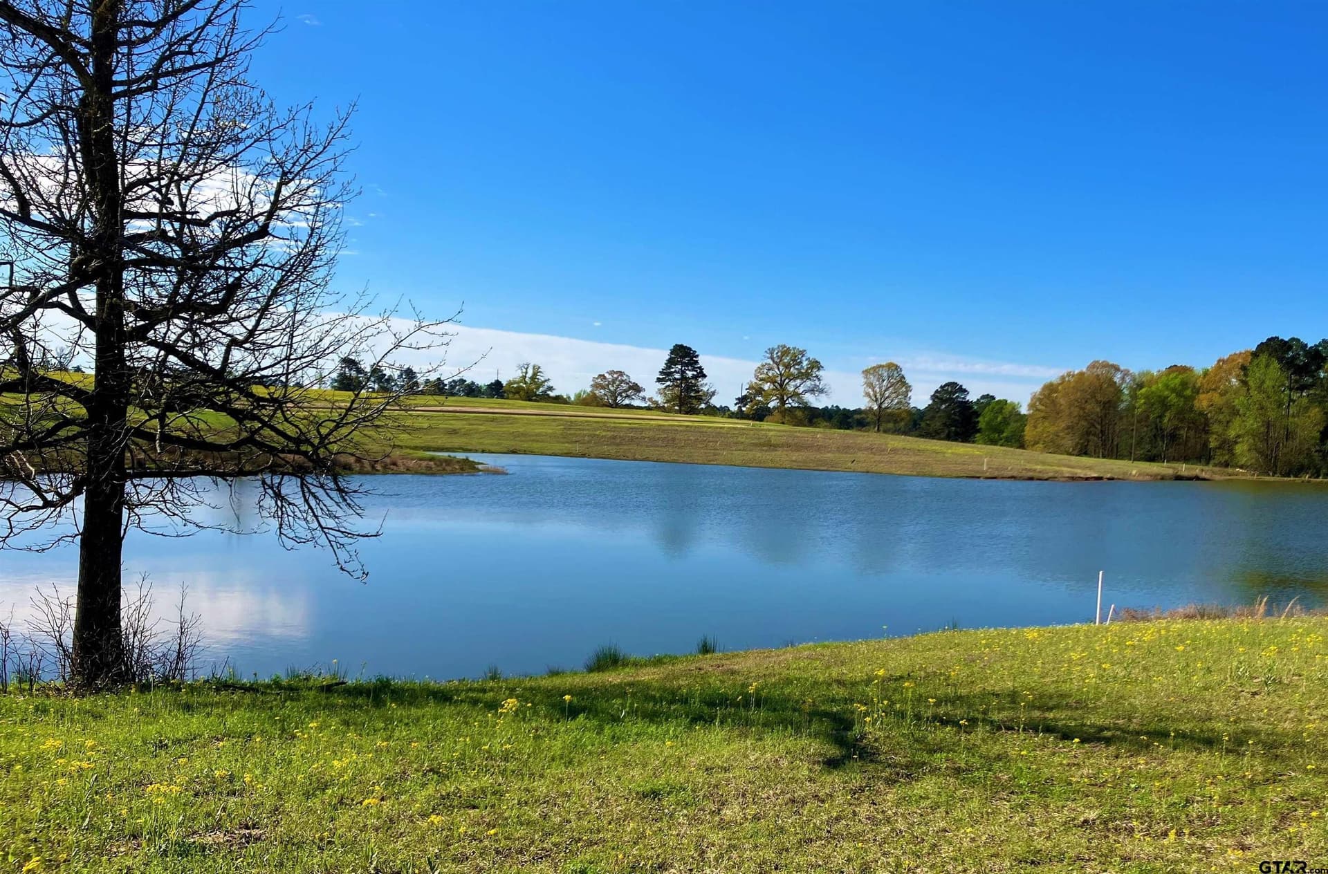 2 acres in Upshur County - photo 3