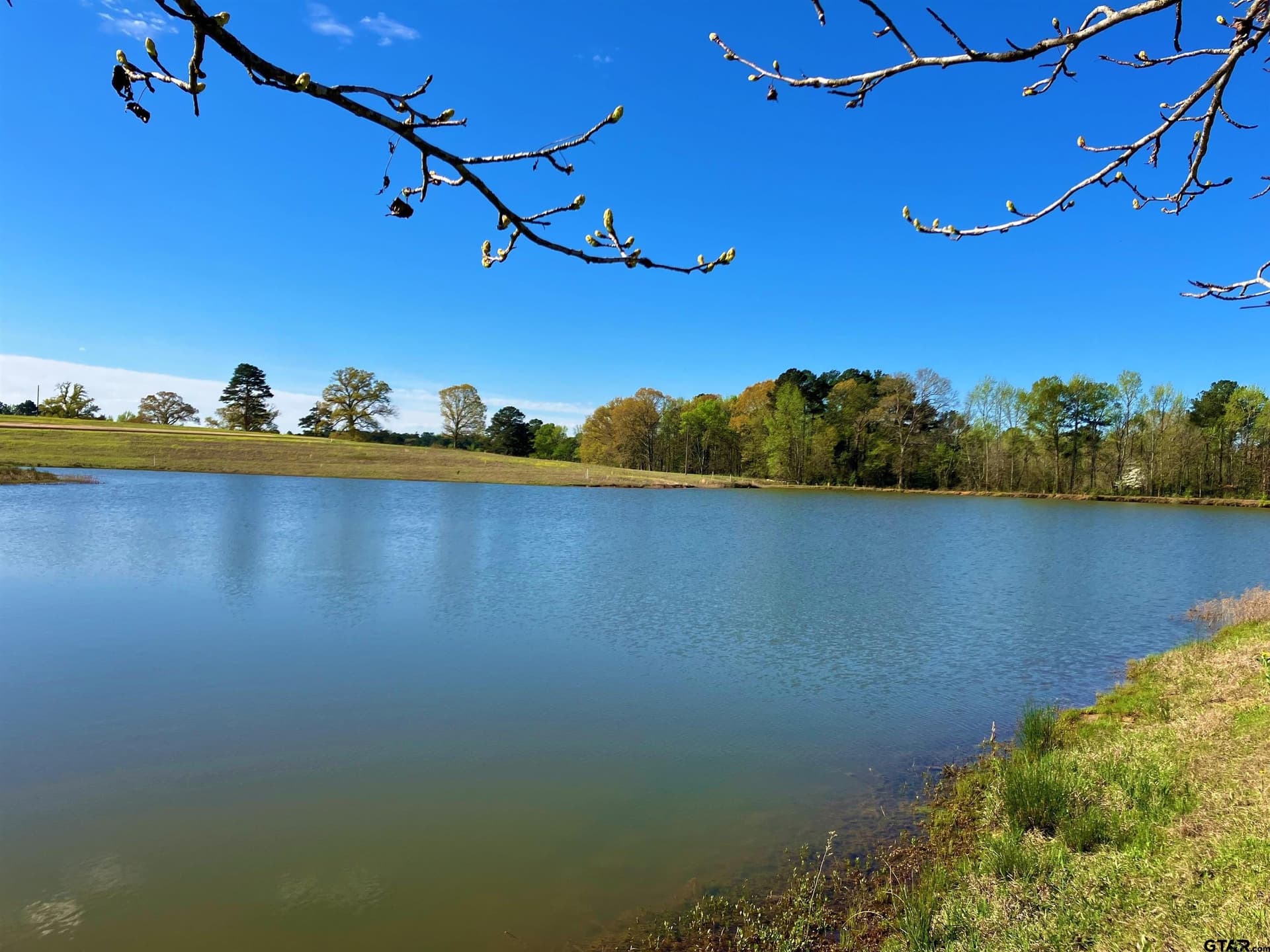 2 acres in Upshur County - photo 4