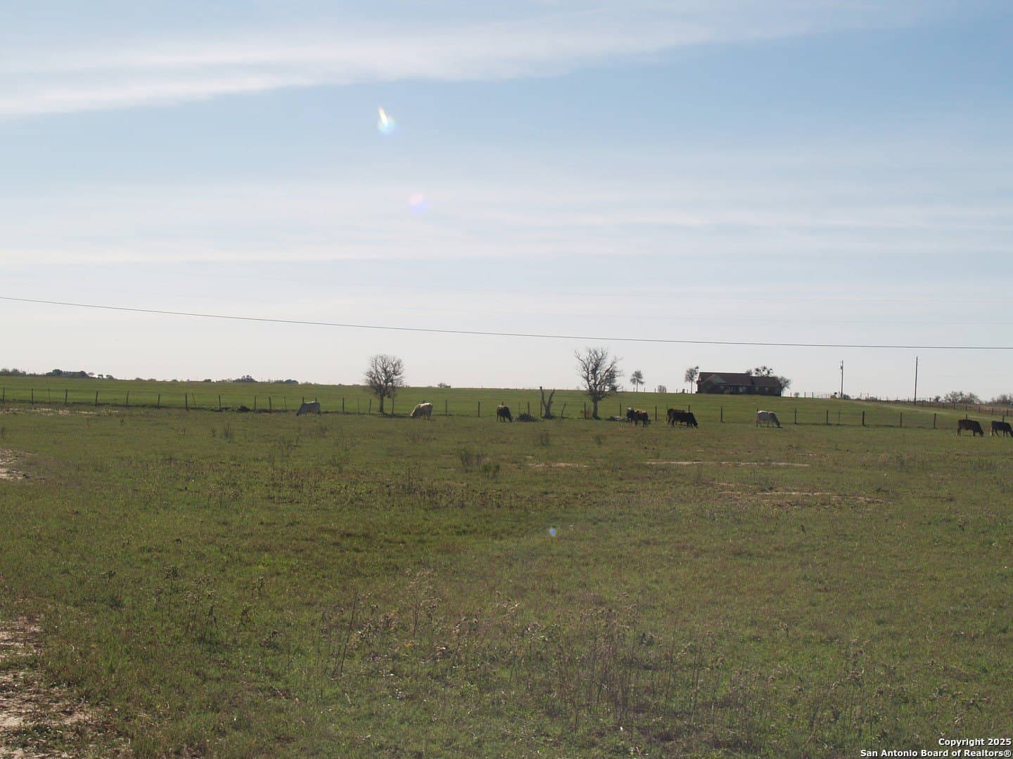 30 acres in Guadalupe County - photo 12