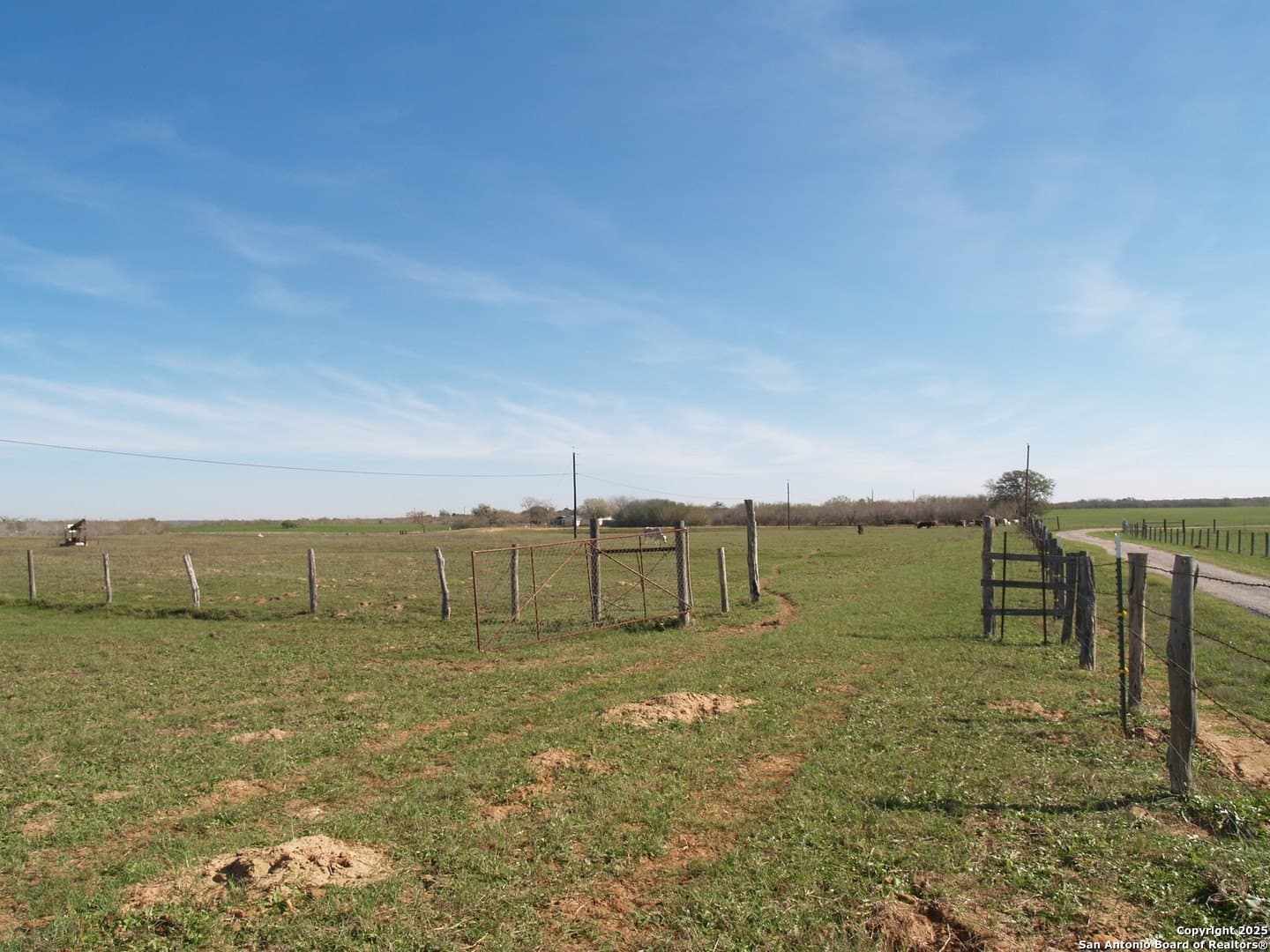 30 acres in Guadalupe County - photo 2