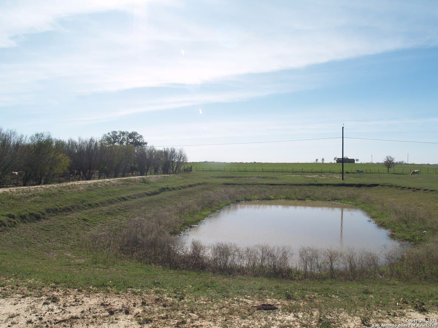 30 acres in Guadalupe County - photo 15