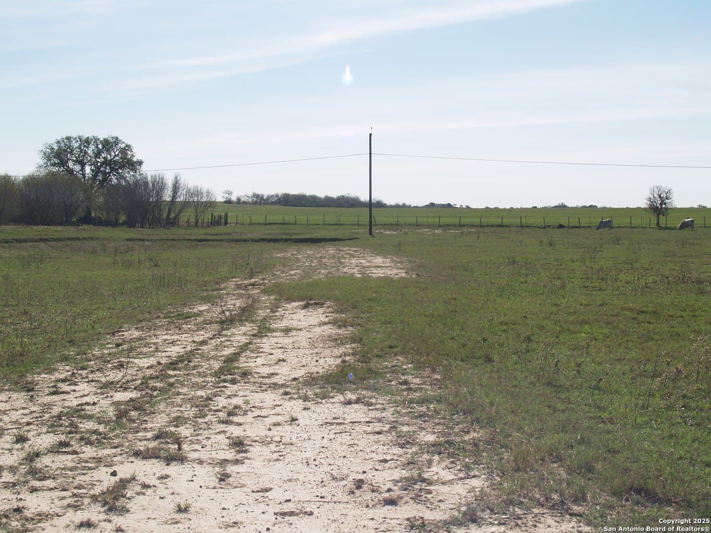 30 acres in Guadalupe County - photo 13