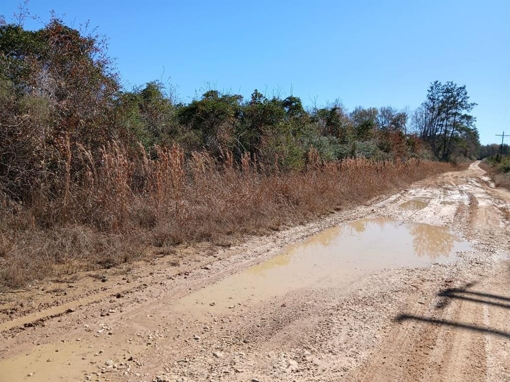 10 acres in Hardin County - photo 2