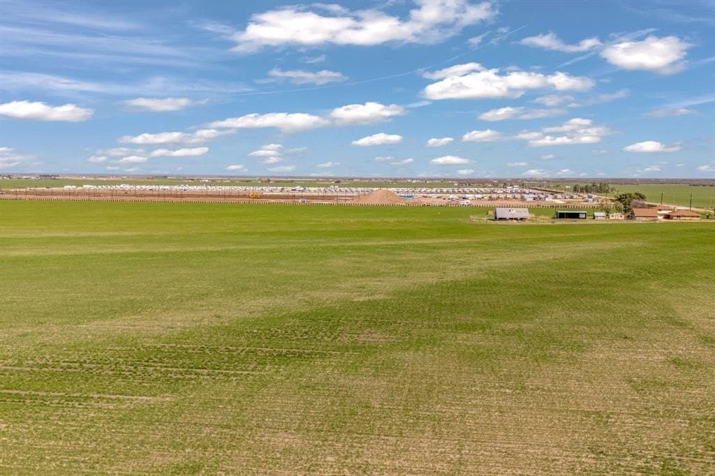 196 acres in Taylor County - photo 9