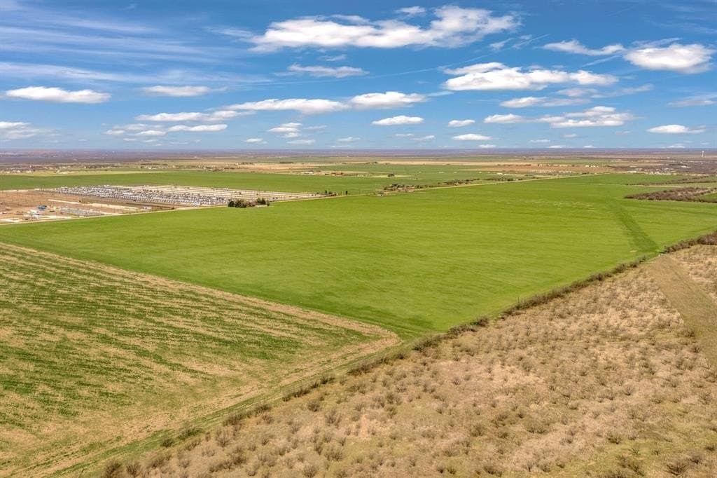 196 acres in Taylor County - photo 4