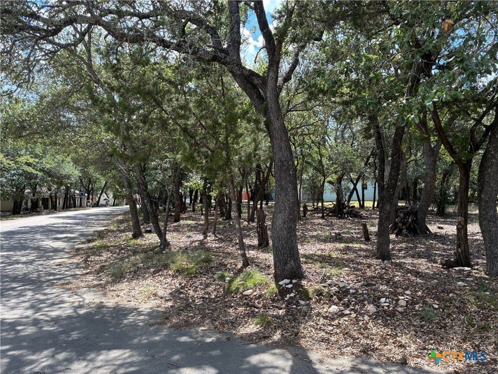 0.19 acres in Bell County - photo 3