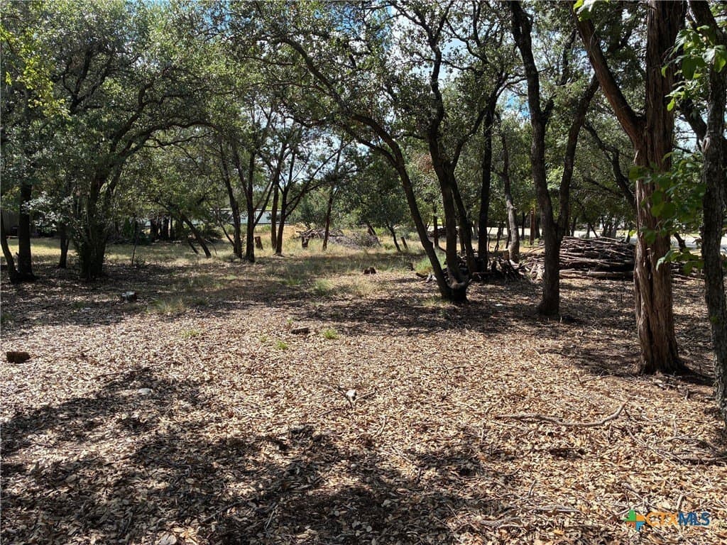 0.19 acres in Bell County - photo 5