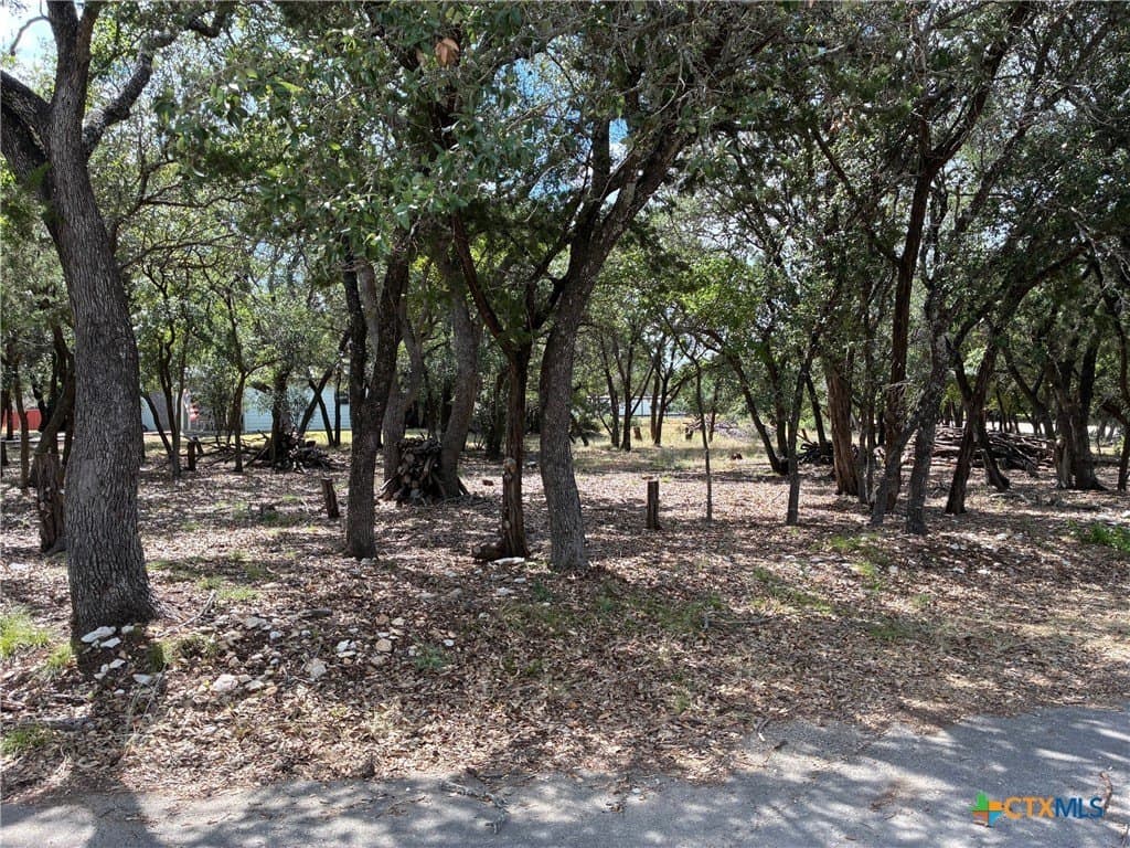 0.19 acres in Bell County - photo 4