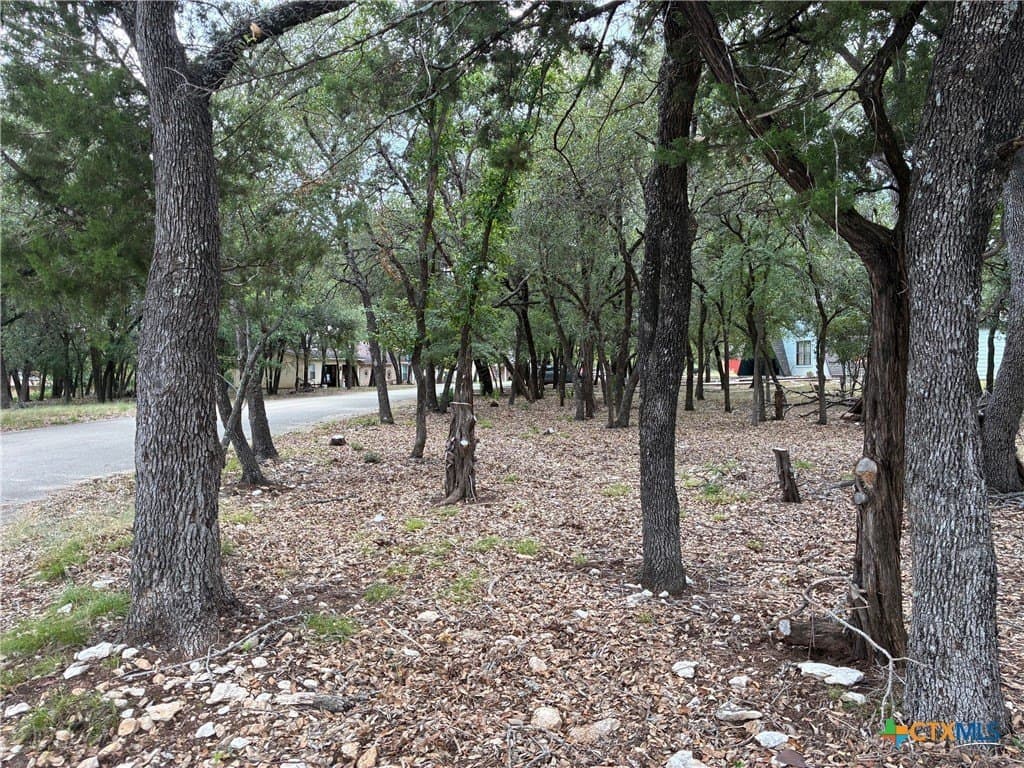 0.19 acres in Bell County - photo 2