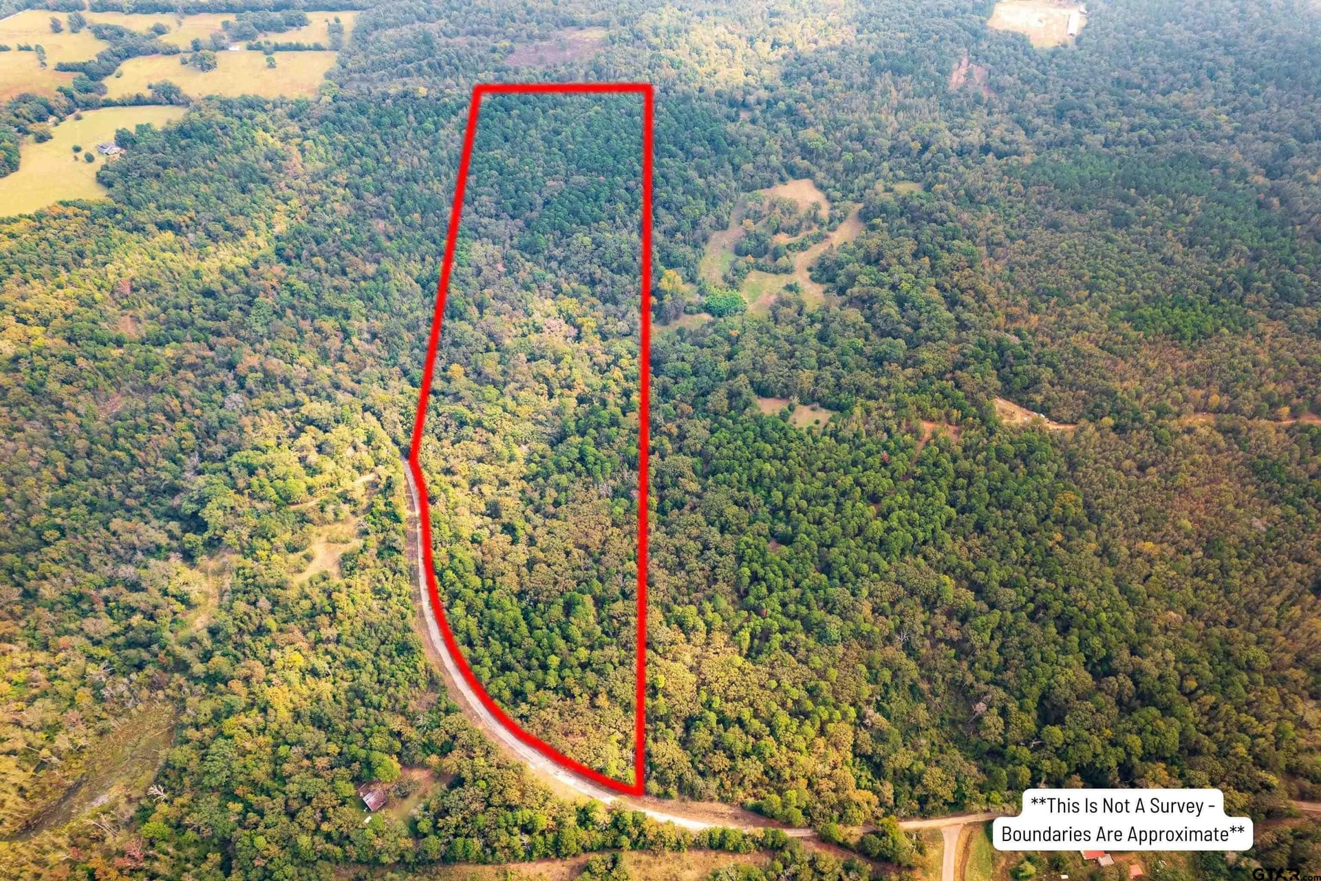 56.47 acres in Camp County - photo 2