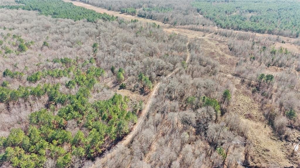 521.93 acres in Franklin (TX) County - photo 25