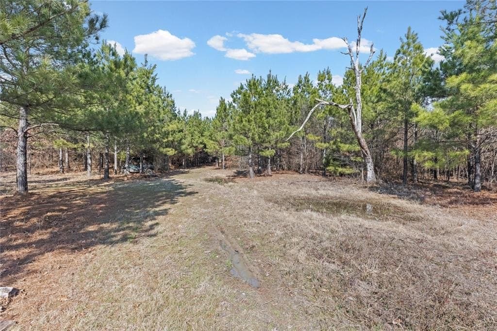 521.93 acres in Franklin (TX) County - photo 7