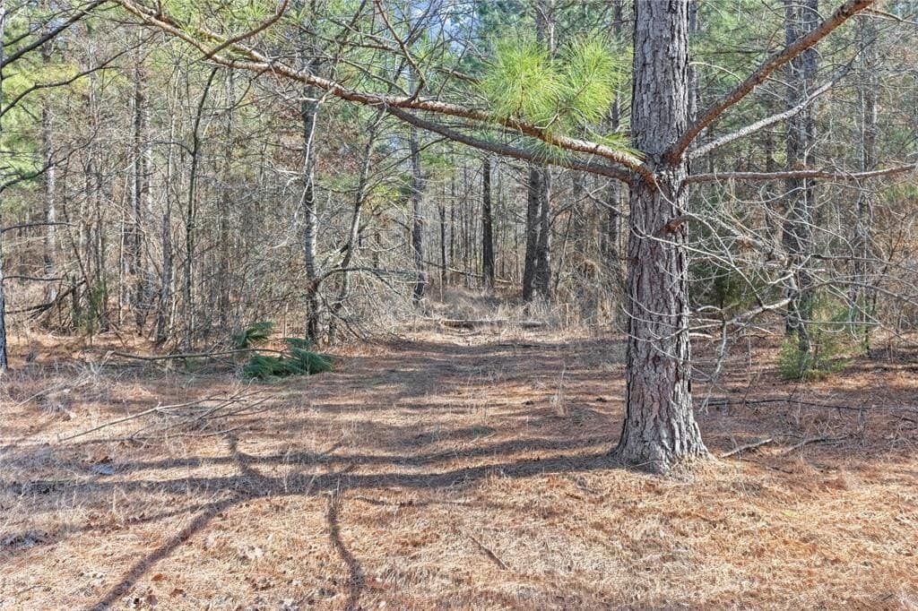 521.93 acres in Franklin (TX) County - photo 9