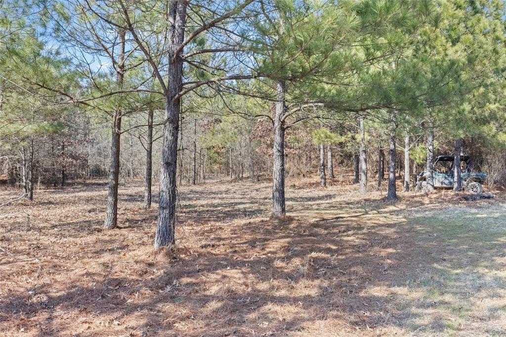 521.93 acres in Franklin (TX) County - photo 8