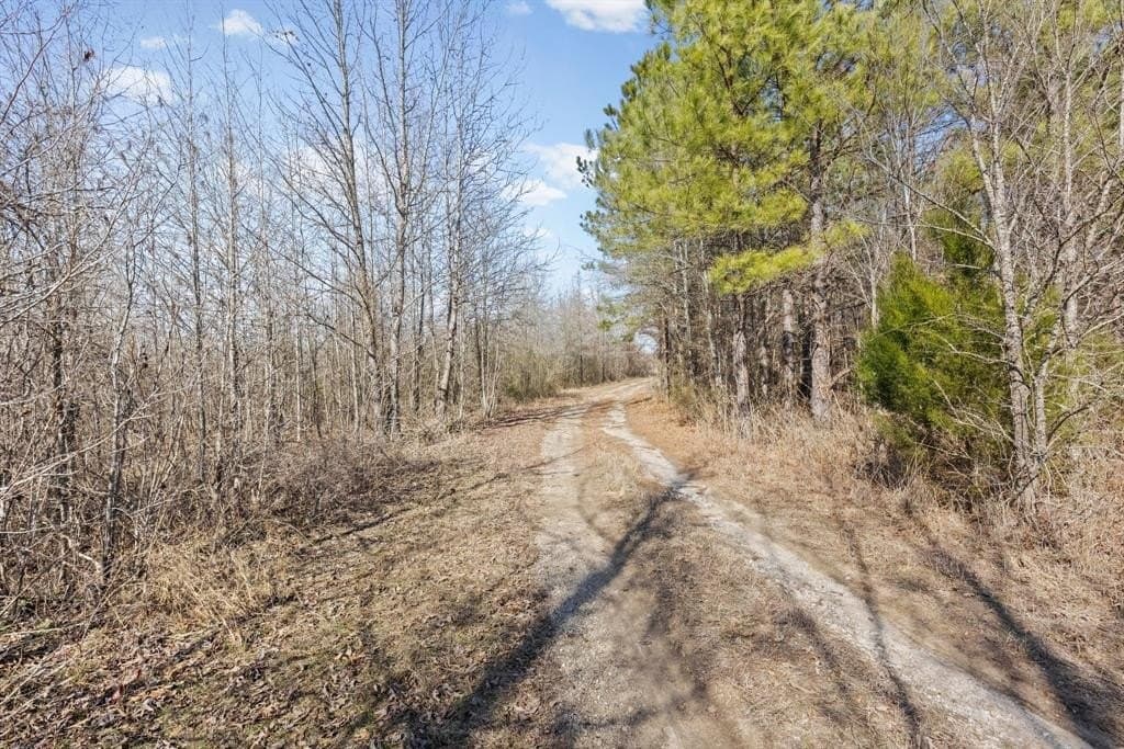 521.93 acres in Franklin (TX) County - photo 20
