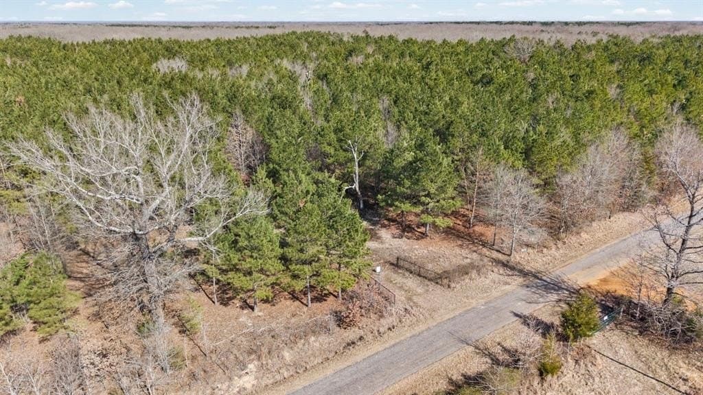 521.93 acres in Franklin (TX) County - photo 4