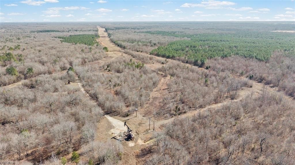 521.93 acres in Franklin (TX) County - photo 35