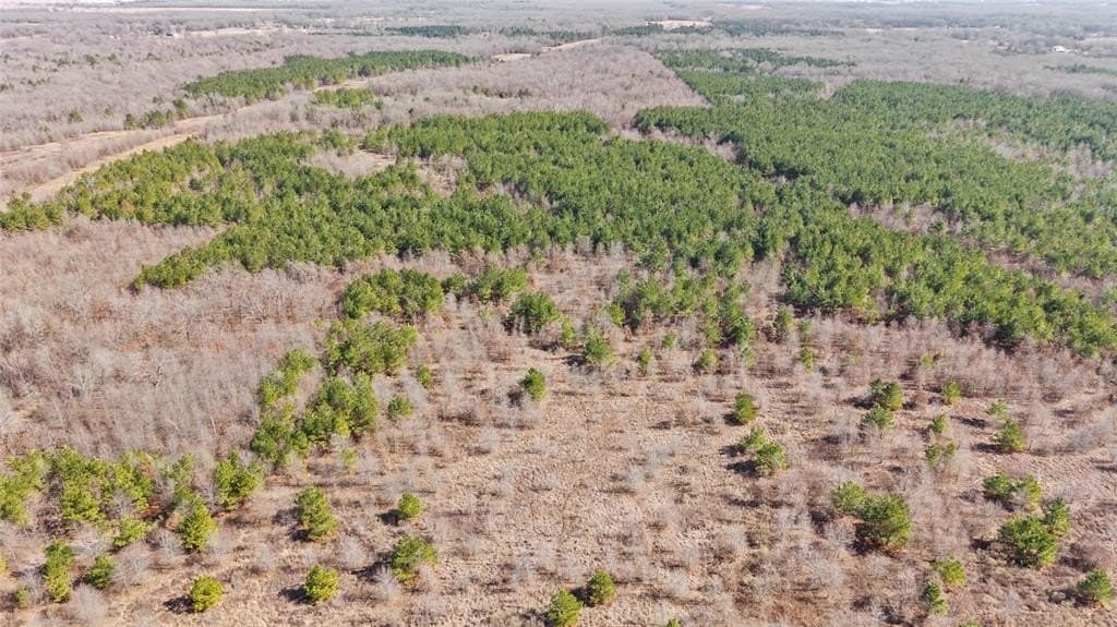 521.93 acres in Franklin (TX) County - photo 24